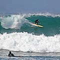 Surfing 3 2007
