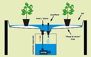 Systeme FLOOD&DRAIN 573px