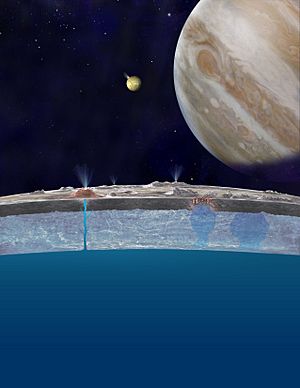 Taste of the Ocean on Europa's Surface
