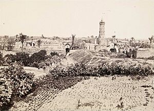 The Old Town, Gaza (1862-1863)