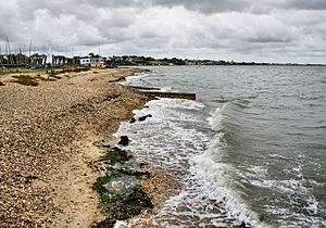 The beach at Titchfield Haven - geograph.org.uk - 1418098.jpg