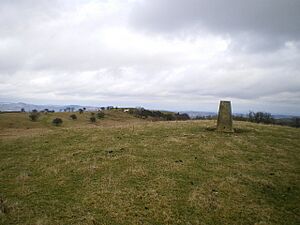 Trig on Mynydd y Glyn - geograph.org.uk - 1164194