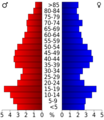 USA Allen County, Kansas age pyramid