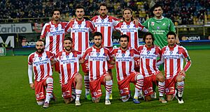 Vicenza Calcio 2014-2015