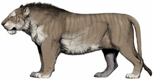 W. Gornig - P. spelaea fossilis.png