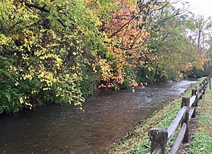 Westside Park- Pleasant Run Creek