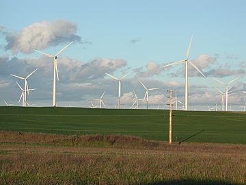 Windfarm (48).JPG