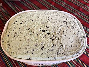 2019-11-28 15 52 03 A tub of Turkey Hill Choco Mint Chip Premium Ice Cream in the Parkway Village section of Ewing Township, Mercer County, New Jersey