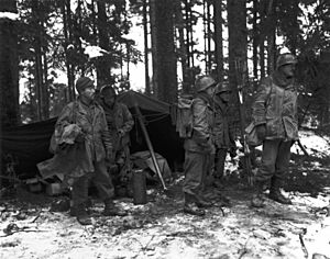 2nd Battalion, 442nd RCT near Saint-Dié 1944-11-13