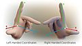 3D Cartesian Coodinate Handedness