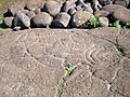 Ahu-Tongariki-4-Petroglyph