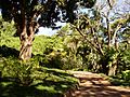 Allerton Garden, Kauai, Hawaii - Garden walk