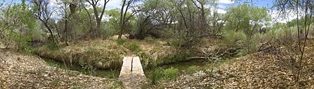 Arroyo Hondo New Mexico