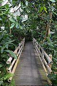 Bamboo Bridge FPC