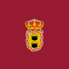 Flag of Paredes de Nava