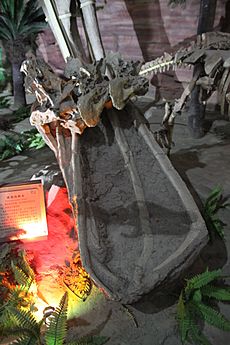 Baotianmansaurus henanensis