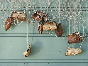 Birch bark fishing net weights