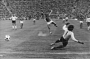 Bundesarchiv Bild 183-N0716-0315, Fußball-WM, BRD - Niederlande 2-1