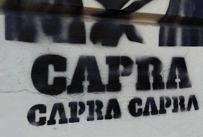 CAPRA CAPRA CAPRA - graffiti in Turin 2019