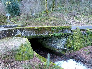 CRH Wahkeena Creek Bridge - Oregon