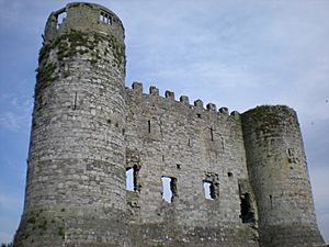 Carlow Castle.jpg