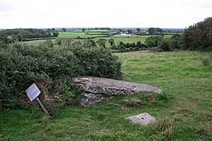 Carved Stone, Clonfinlough - geograph.org.uk - 245804.jpg