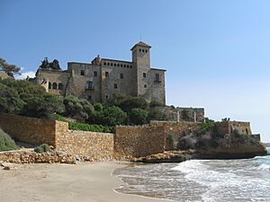 Castell de Tamarit des de la cala