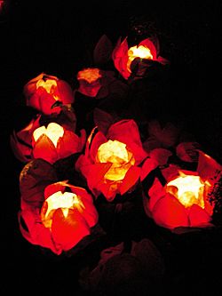 Chinese floating lotus lanterns