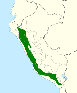 Colaptes atricollis map.svg