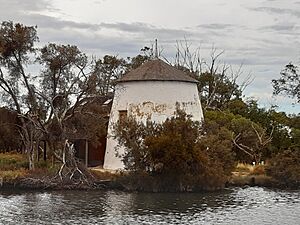 Cooper's Mill, South Yunderup, February 2020 01