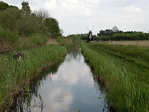 Ditch and windpump at Wicken Fen - geograph.org.uk - 1281114