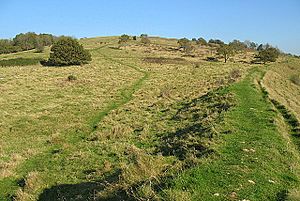 Dolebury Iron Age Hillfort - geograph.org.uk - 593105