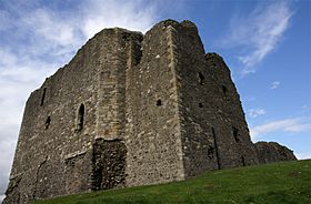 Dundonald Castle 20080424 - from south west.jpg