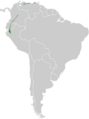 Dysithamnus leucostictus map
