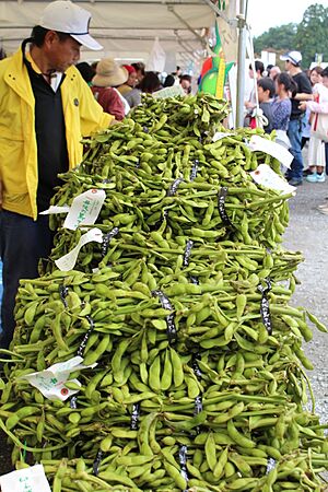 Edamame (37039111054)