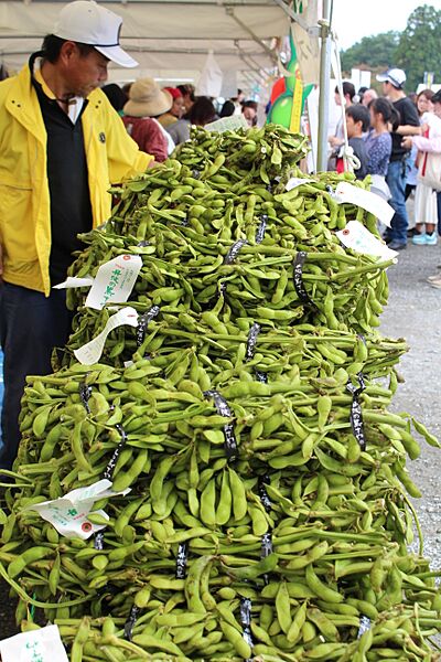 Edamame (37039111054)