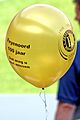 Feyenoord 100Years Balloon