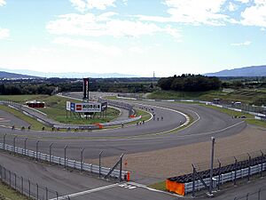 Fisco hairpin2