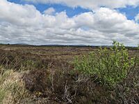 Garry Bog looking SE (geograph 4810966).jpg