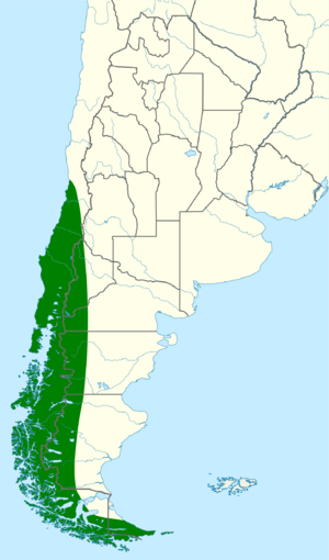 Glaucidium nana map.svg
