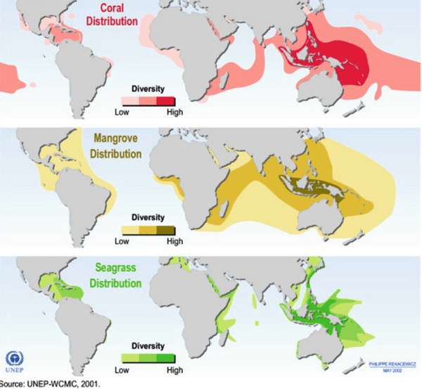 Global distribution of coral, mangrove, and seagrass diversity
