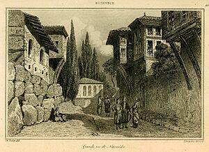 Grande rue de Nicomédie - Texier Charles Félix Marie - 1882.jpg