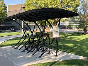 Green roof bike rack