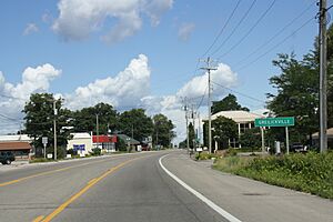 Greilickville Michigan Sign M-22