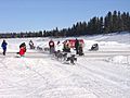 Hay River dog sled