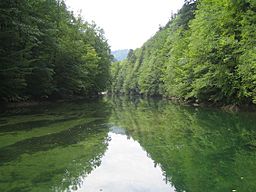 The Idrijca river near the Wild Lake
