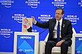 Isaac Herzog in Davos, January 2024 (GPOABG231)
