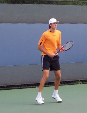 Ivo karlovic