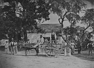 James Hopkinsons Plantation Slaves Going to Field