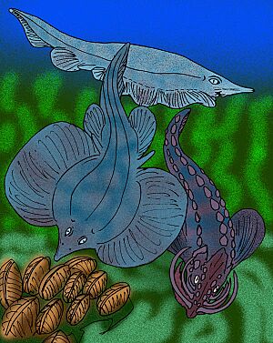Janassa bituminosa